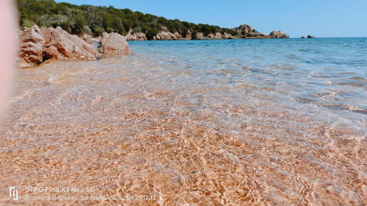 Villa Casa Mughetto R5055 Seafront, Private Sea Access, Swimming Pool La Maddalena  Exterior foto