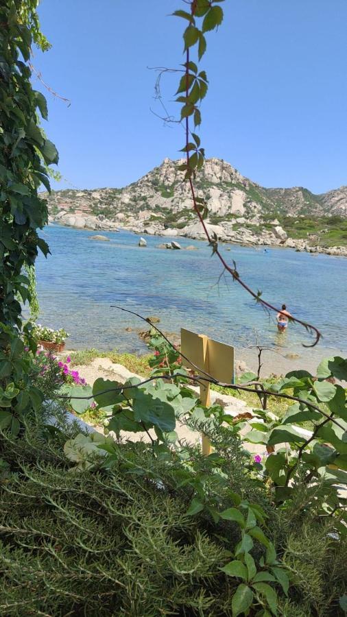 Villa Casa Mughetto R5055 Seafront, Private Sea Access, Swimming Pool La Maddalena  Exterior foto