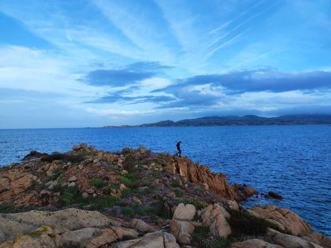 Villa Casa Mughetto R5055 Seafront, Private Sea Access, Swimming Pool La Maddalena  Exterior foto